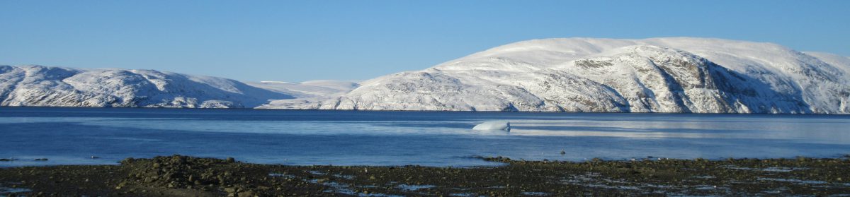 Kangiqsujuaq photo by Marie-Pierre Renaud